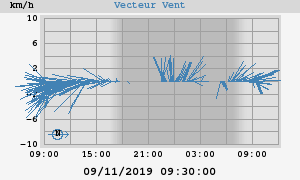 Wind Vector